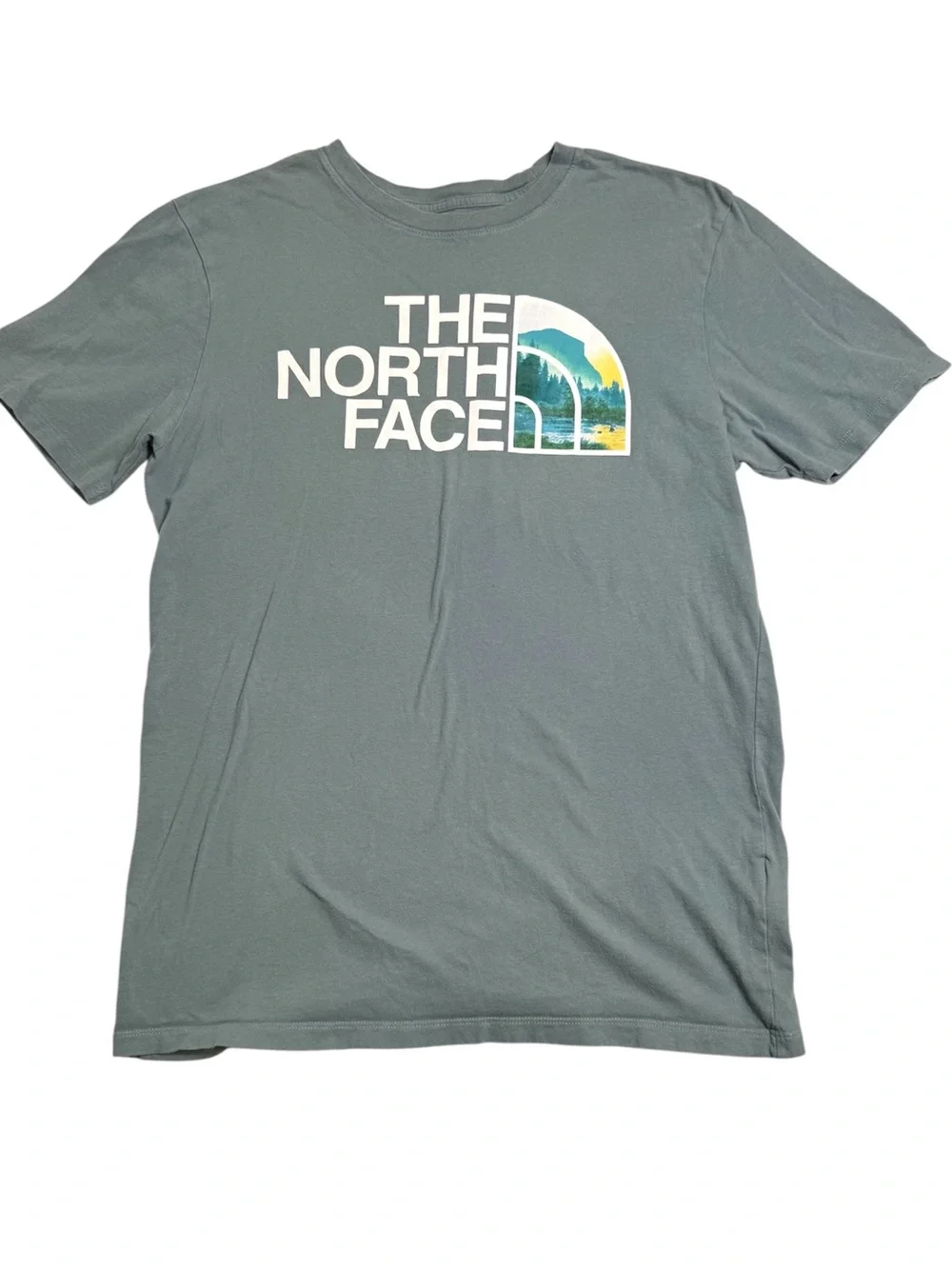The North Face Woodcut Dome Scenic Logo Graphic T-Shirt Men’s S Green